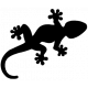 Дизайн